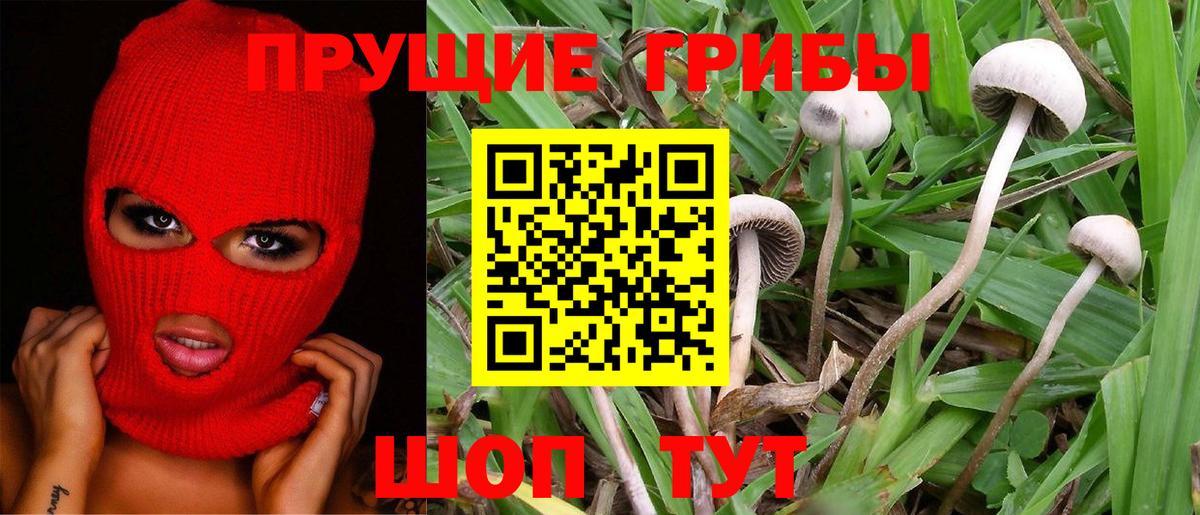 что такое наркотик  Галлюциногенные грибы MAGIC MUSHROOMS  Вход с VPN  Липецк 