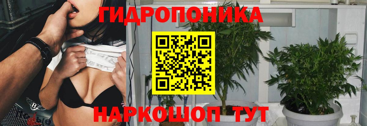 Липецк  Конопля планчик  Бошки марихуана OG Kush  Вход с VPN  Канабис VHQ 
